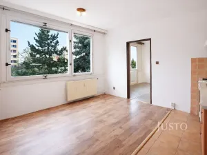 Prodej bytu 1+1, Písek, třída Přátelství, 38 m2