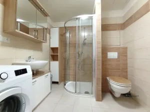 Pronájem bytu 1+kk, Plzeň - Jižní Předměstí, Rybářská, 49 m2