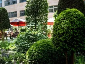 Pronájem kanceláře, Praha - Nové Město, Na příkopě, 203 m2