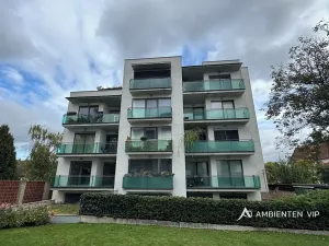 Pronájem bytu 1+kk, Brno, Božetěchova, 52 m2