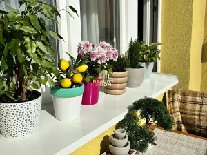 Prodej bytu 3+1, Teplice, Duchcovská, 70 m2