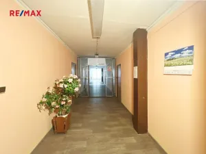 Prodej činžovního domu, Kraslice, Palackého, 1800 m2