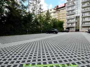 Pronájem garážového stání, Praha - Žižkov, Hartigova, 12 m2