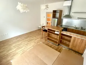 Pronájem bytu 1+kk, Brno, Přadlácká, 31 m2