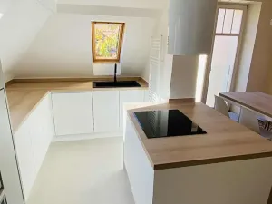 Pronájem bytu 3+1, Brno, Libušino údolí, 160 m2