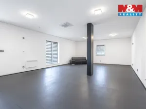 Pronájem obchodního prostoru, Mělník, Panešova, 65 m2