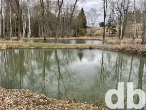 Prodej rybníku, Toužim, 5506 m2
