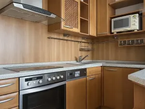 Pronájem bytu 1+kk, Brno, V Újezdech, 30 m2