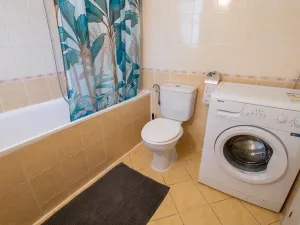 Pronájem bytu 2+1, Praha - Žižkov, Víta Nejedlého, 63 m2