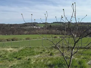 Prodej pozemku pro bydlení, Letovice, 853 m2