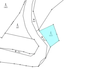 Prodej lesa, Jenišovice, 718705 m2