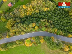 Prodej lesa, Kosov, 467 m2