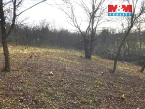 Prodej zahrady, Postoloprty - Mradice, 1582 m2