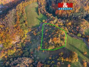 Prodej louky, Ústí nad Labem - Svádov, 14398 m2