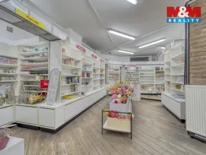 Pronájem obchodního prostoru, Plzeň - Vnitřní Město, Bedřicha Smetany, 304 m2