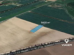 Prodej podílu pole, Heřmanův Městec, 2802 m2