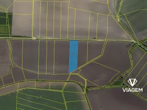 Prodej podílu pole, Běrunice, 2634 m2