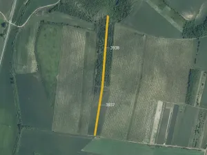 Prodej pole, Starovičky, 5778 m2