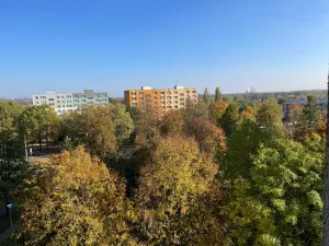 Pronájem bytu 2+1, Ostrava, Průběžná, 40 m2