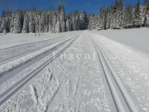 Prodej rodinného domu, Kvilda, 203 m2