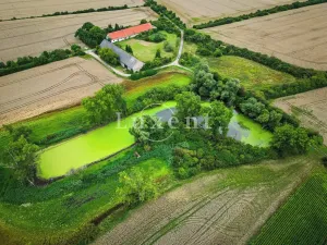 Prodej zemědělské usedlosti, Běrunice, 600 m2