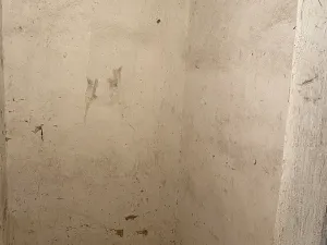 Prodej bytu 2+kk, Bzová, 42 m2