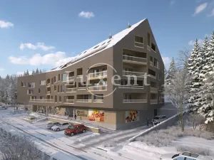 Prodej bytu 2+kk, Železná Ruda, 65 m2