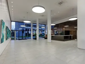 Pronájem kanceláře, Brno, Nové sady, 150 m2