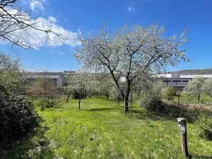 Prodej rodinného domu, Uherský Brod, Brodská, 130 m2