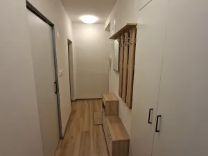 Pronájem bytu 1+1, Olomouc, Wolkerova, 39 m2