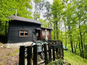 Prodej chaty, Kaliště, 30 m2