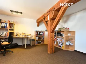 Prodej obchodního prostoru, Bílovec, 817 m2