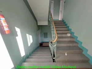 Pronájem bytu 1+1, Praha - Vinohrady, Písecká, 52 m2