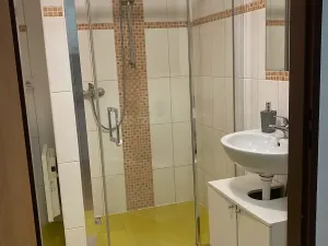 Prodej ubytování, Olomouc, Rejskova, 154 m2