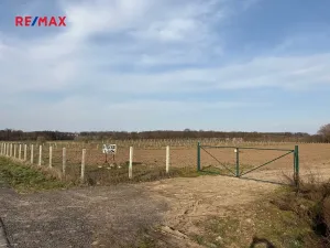 Prodej sadu/vinice, Nové Dvory, 9979 m2