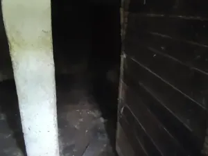 Dražba - jiné, Brumov-Bylnice, 29 m2