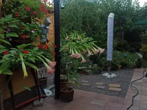 Prodej vícegeneračního domu, Mikulov, Na Jámě, 220 m2