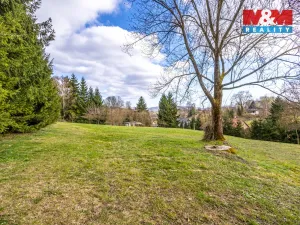 Prodej pozemku pro bydlení, Velká Bukovina, 4466 m2