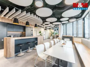 Pronájem komerční nemovitosti, Praha, Jihlavská, 30 m2