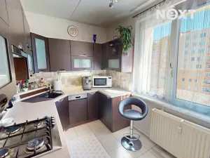 Prodej bytu 3+1, Tábor, Hanojská, 78 m2