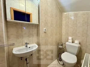 Pronájem rodinného domu, Česká, 200 m2