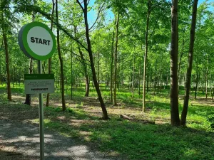 Pronájem kanceláře, Praha - Chodov, Tomíčkova, 1500 m2