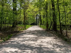 Pronájem kanceláře, Praha - Chodov, Tomíčkova, 33000 m2