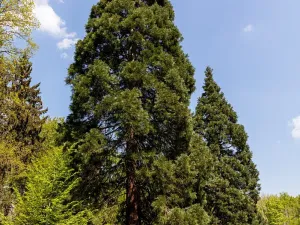 Pronájem kanceláře, Praha - Chodov, Tomíčkova, 33000 m2