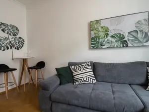 Pronájem bytu 2+1, Praha - Žižkov, Víta Nejedlého, 64 m2