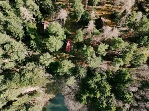 Prodej chaty, Vrábče, 48 m2