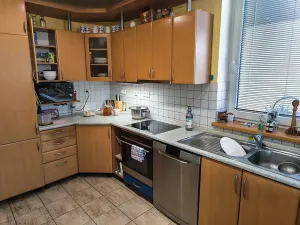 Prodej rodinného domu, Ublo, 350 m2