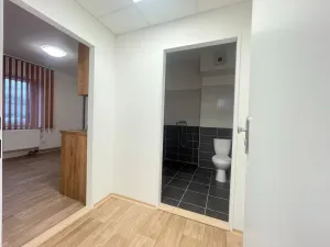 Pronájem bytu 1+kk, Staré Hradiště, U Pošty, 20 m2