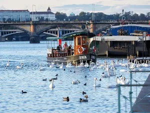 Prodej bytu 4+kk, Praha - Nusle, Bělehradská, 111 m2