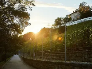 Prodej bytu 4+kk, Praha - Nusle, Bělehradská, 131 m2